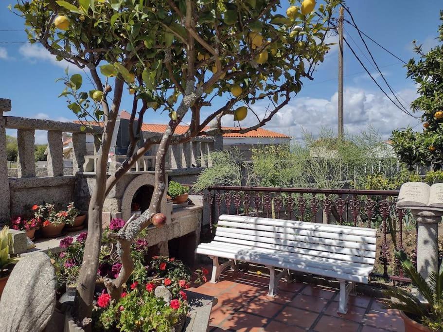 Apartamento En San Vicente De Эль-Грове Экстерьер фото